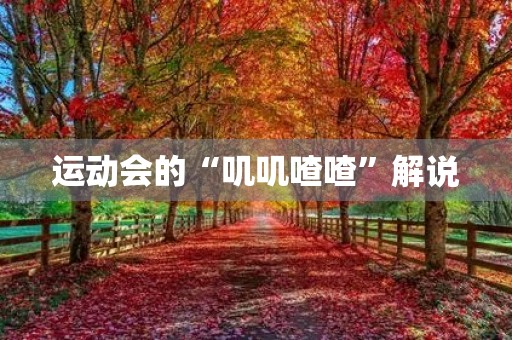 运动会的“叽叽喳喳”解说 运动会的“叽叽喳喳”解说