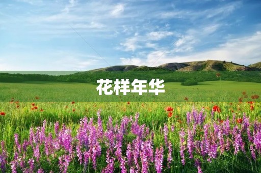 花样年华 花样年华