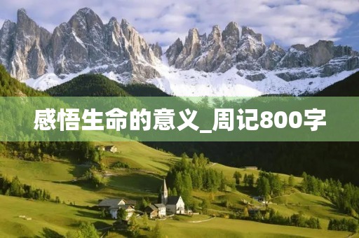感悟生命的意义_周记800字