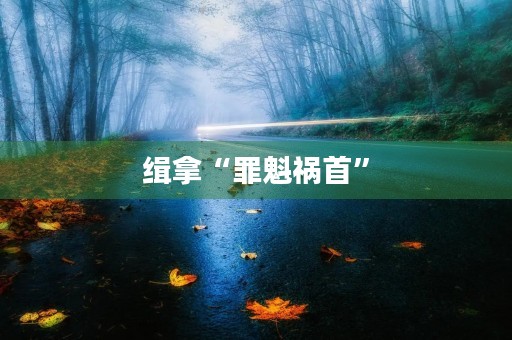 缉拿“罪魁祸首” 缉拿“罪魁祸首”