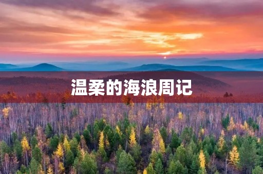 温柔的海浪周记 温柔的海浪周记