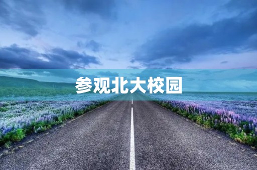 参观北大校园 参观北大校园