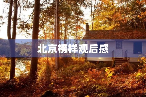 北京榜样观后感