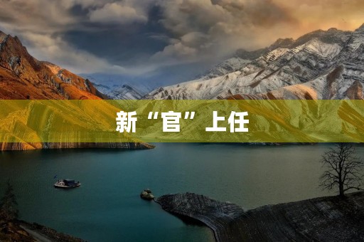 新“官”上任 新“官”上任