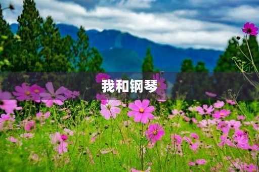 我和钢琴 我和钢琴