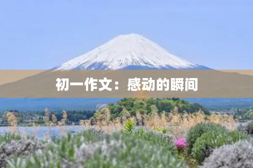 初一作文:感动的瞬间 初一作文:感动的瞬间