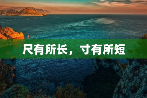 尺有所长，寸有所短