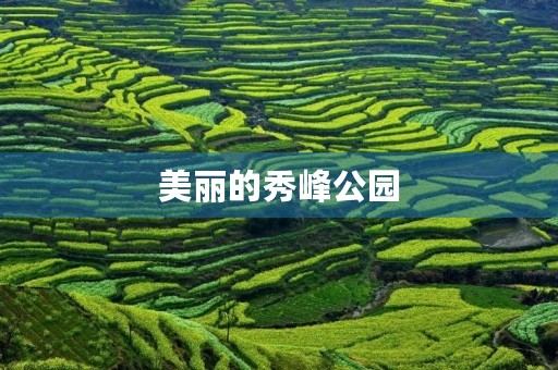 美丽的秀峰公园 美丽的秀峰公园