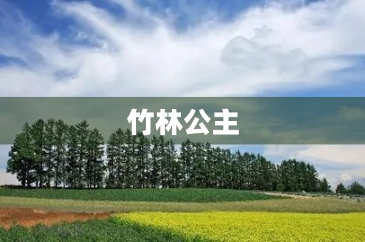 竹林公主