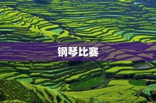 钢琴比赛
