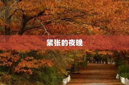 紧张的夜晚