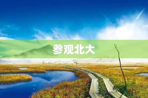 参观北大