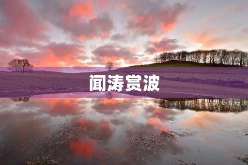闻涛赏波 闻涛赏波