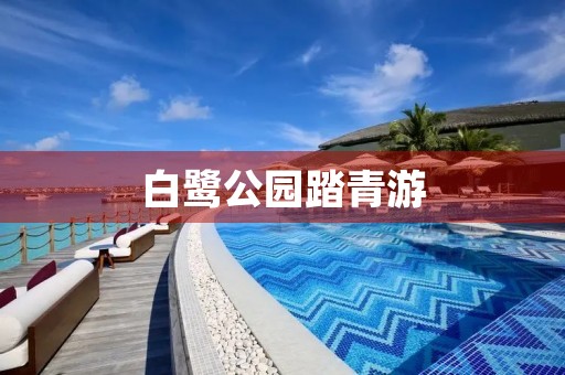 白鹭公园踏青游 白鹭公园踏青游