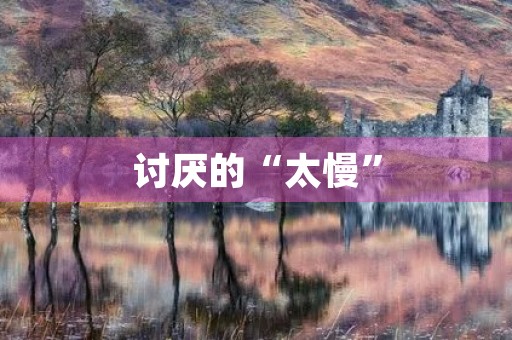讨厌的“太慢” 讨厌的“太慢”