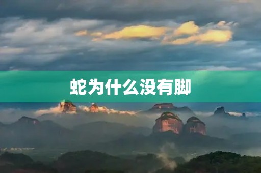 蛇为什么没有脚