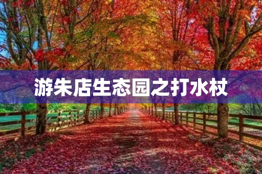 游朱店生态园之打水杖 游朱店生态园之打水杖