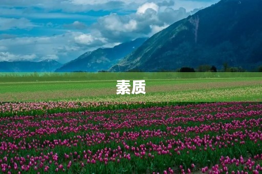 素质 素质