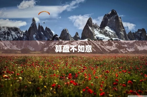 算盘不如意 算盘不如意
