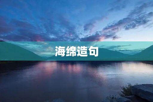 海绵造句 海绵造句