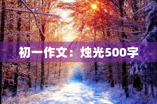 初一作文：烛光500字