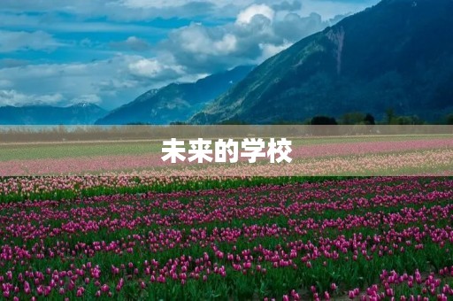 未来的学校 未来的学校
