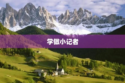 学做小记者 学做小记者
