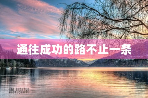 通往成功的路不止一条 通往成功的路不止一条