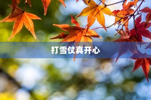 打雪仗真开心 打雪仗真开心