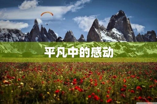 平凡中的感动