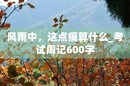 风雨中，这点痛算什么_考试周记600字