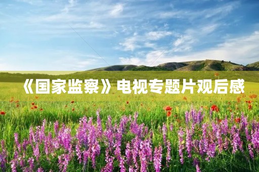 《国家监察》电视专题片观后感