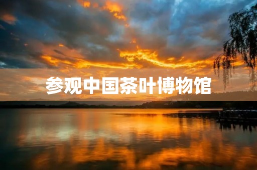 参观中国茶叶博物馆 参观中国茶叶博物馆