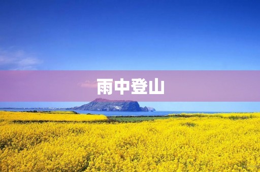雨中登山