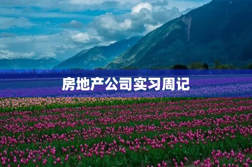 房地产公司实习周记