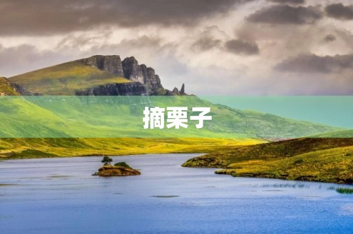 摘栗子 摘栗子