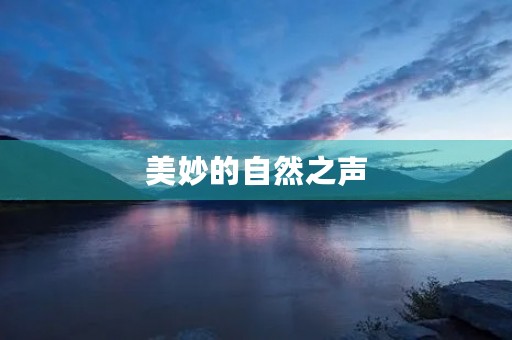美妙的自然之声 美妙的自然之声