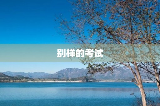 别样的考试 别样的考试