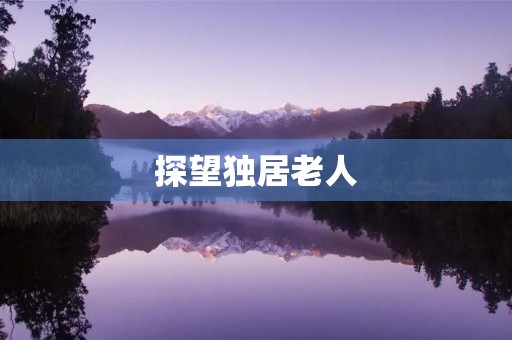 探望独居老人 探望独居老人