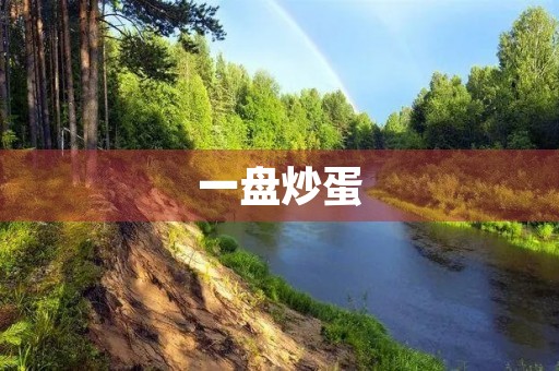 一盘炒蛋 一盘炒蛋