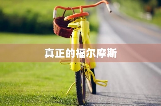 真正的福尔摩斯