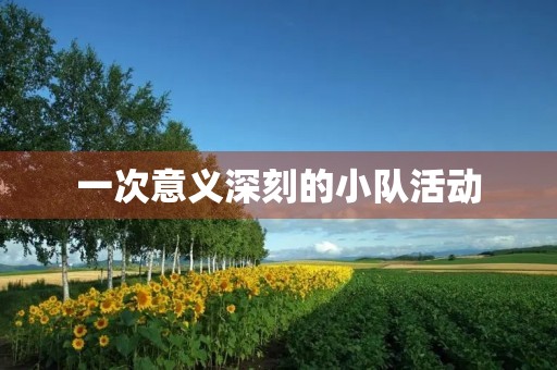 一次意义深刻的小队活动
