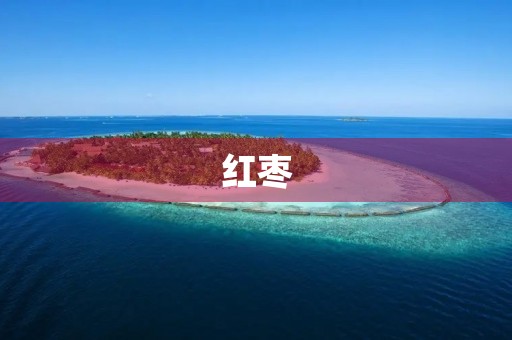 红枣 红枣