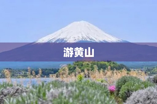游黄山 游黄山