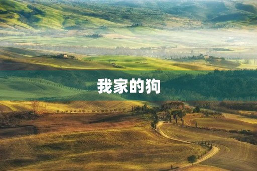我家的狗