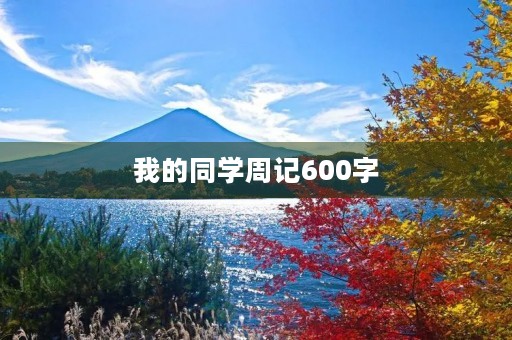 我的同学周记600字 我的同学周记600字
