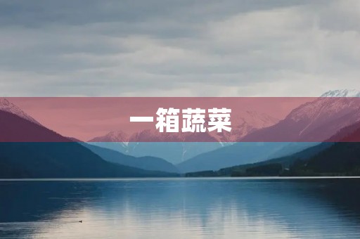 一箱蔬菜 一箱蔬菜