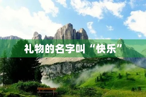 礼物的名字叫“快乐”