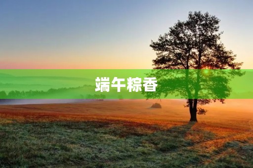 端午粽香 端午粽香