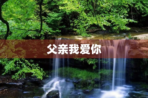 父亲我爱你